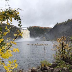 Meet your Posher, Jane cook